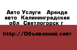 Авто Услуги - Аренда авто. Калининградская обл.,Светлогорск г.